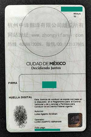 墨西哥合众国驾照背面.jpg