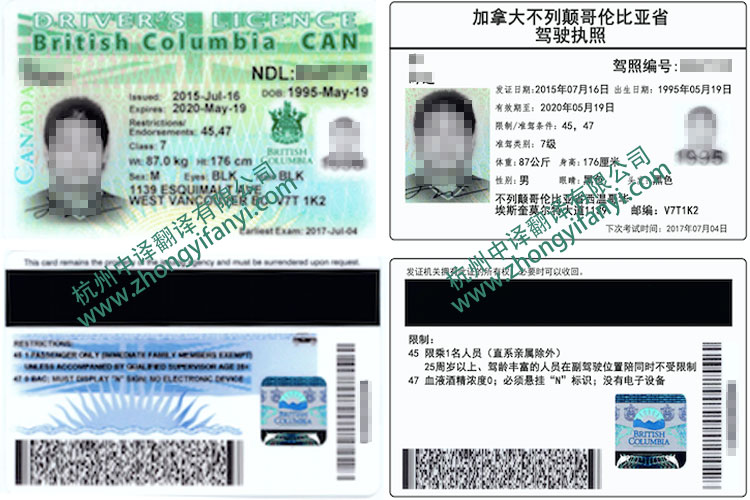 加拿大不列颠哥伦比亚省驾驶执照翻译件模板及注意事项.jpg