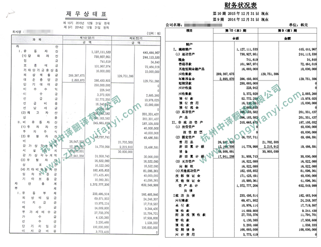 中译杭州翻译公司企业财务状况报表翻译件模板.jpg