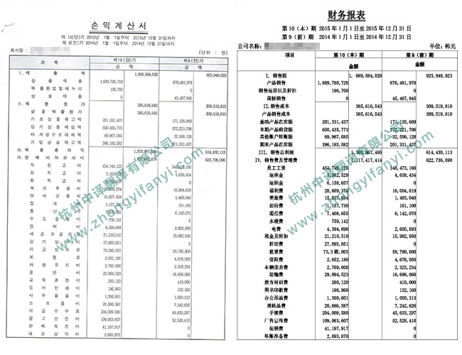 中译杭州翻译公司企业财务状况报表翻译件模板.jpg