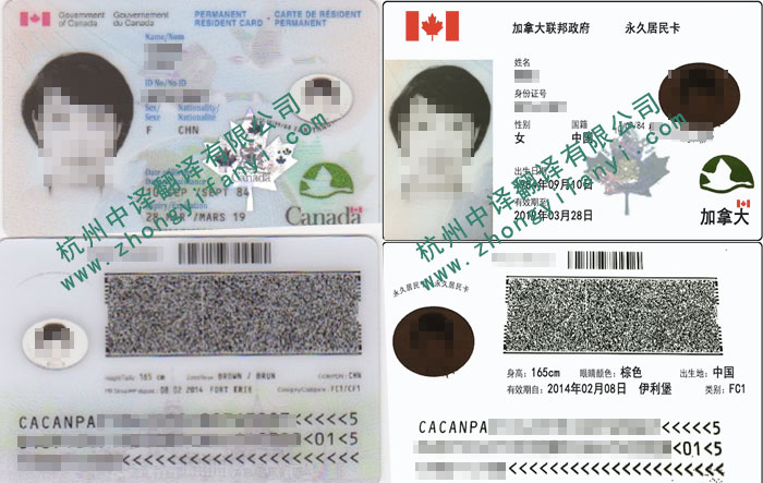 加拿大永久居民卡|枫叶卡英译中翻译件模板及注意事项.jpg