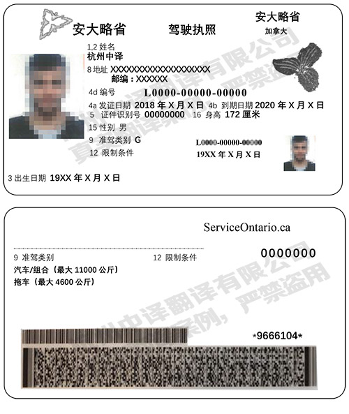 加拿大安大略省驾照翻译件模板