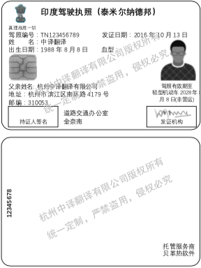 印度泰米尔纳德邦驾照翻译模板.png