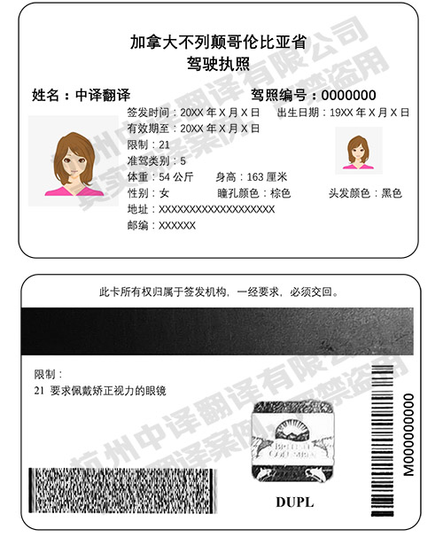 加拿大BC省驾照翻译模板,加拿大驾照翻译公司.jpg