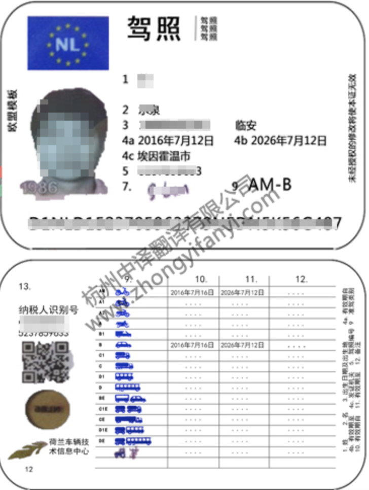 荷兰语驾照翻译,荷兰驾照翻译.png