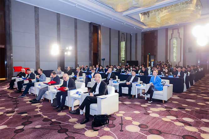 1763383810377173.jpg 2.jpg