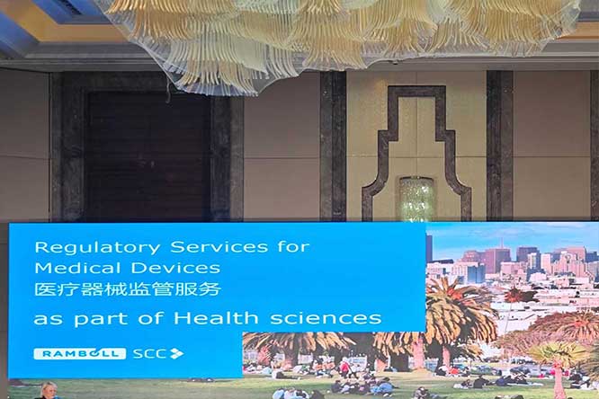 1763383817446529.jpg 1.jpg