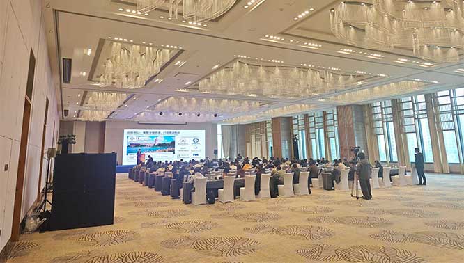 1765959344908146.jpg 2.jpg